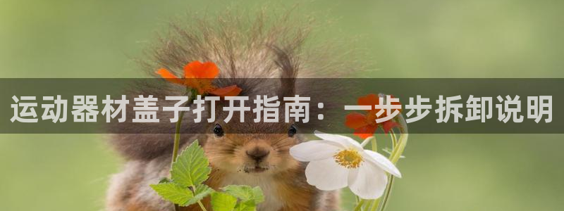 意昂3娱乐40996:运动器材盖子打开指南:一步步拆卸说明