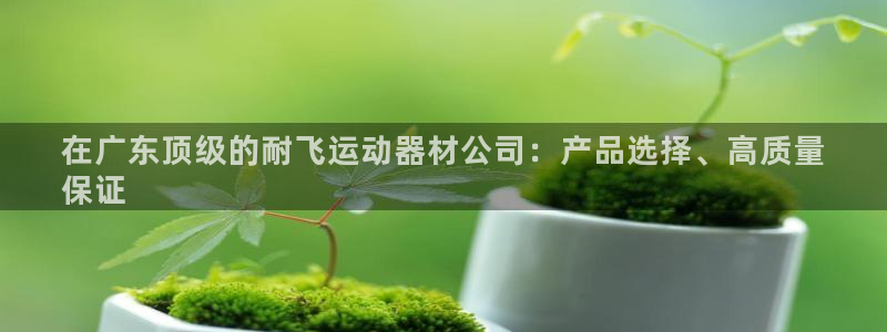 意昂体育3招商电话号码查询是多少:在广东顶级的耐飞运动器材公