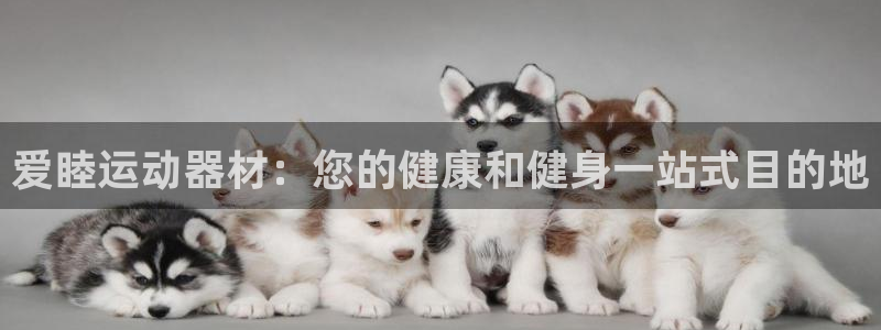 意昂平台体育:爱睦运动器材:您的健康和健身一站式目的地